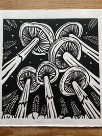 Image 2 of Midnight Mushrooms