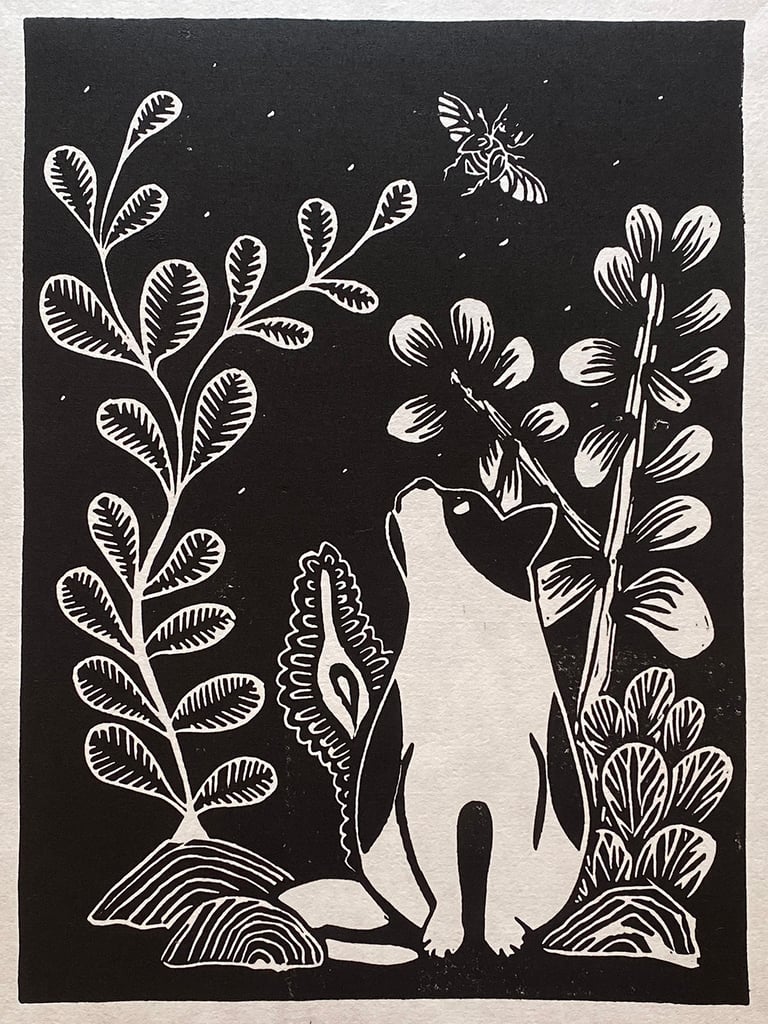 Cat & Beetle Image 3