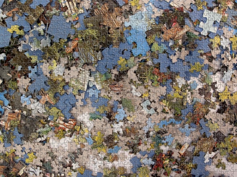 Image of Puzzle Puzzle (1000 pieces)