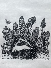 Image 2 of Mr Badger
