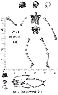 Image 1 of Skeleton Bones Rubber Stamp Sets P52