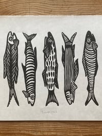 Image 2 of Sardines