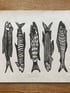 Sardines Image 3