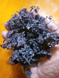 Image 4 of PURPLE SEAMOSS CHONDRUS CRISPUS