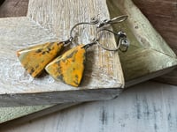 Image 5 of Fall Colors earrings 