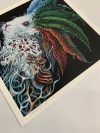 Image 2 of RABBIT DECAY 12x12 print