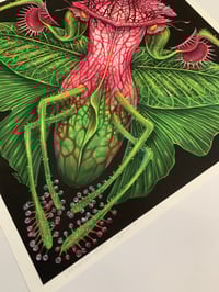 Image 2 of CARNIVOROUS MANTIS 12x12 print 