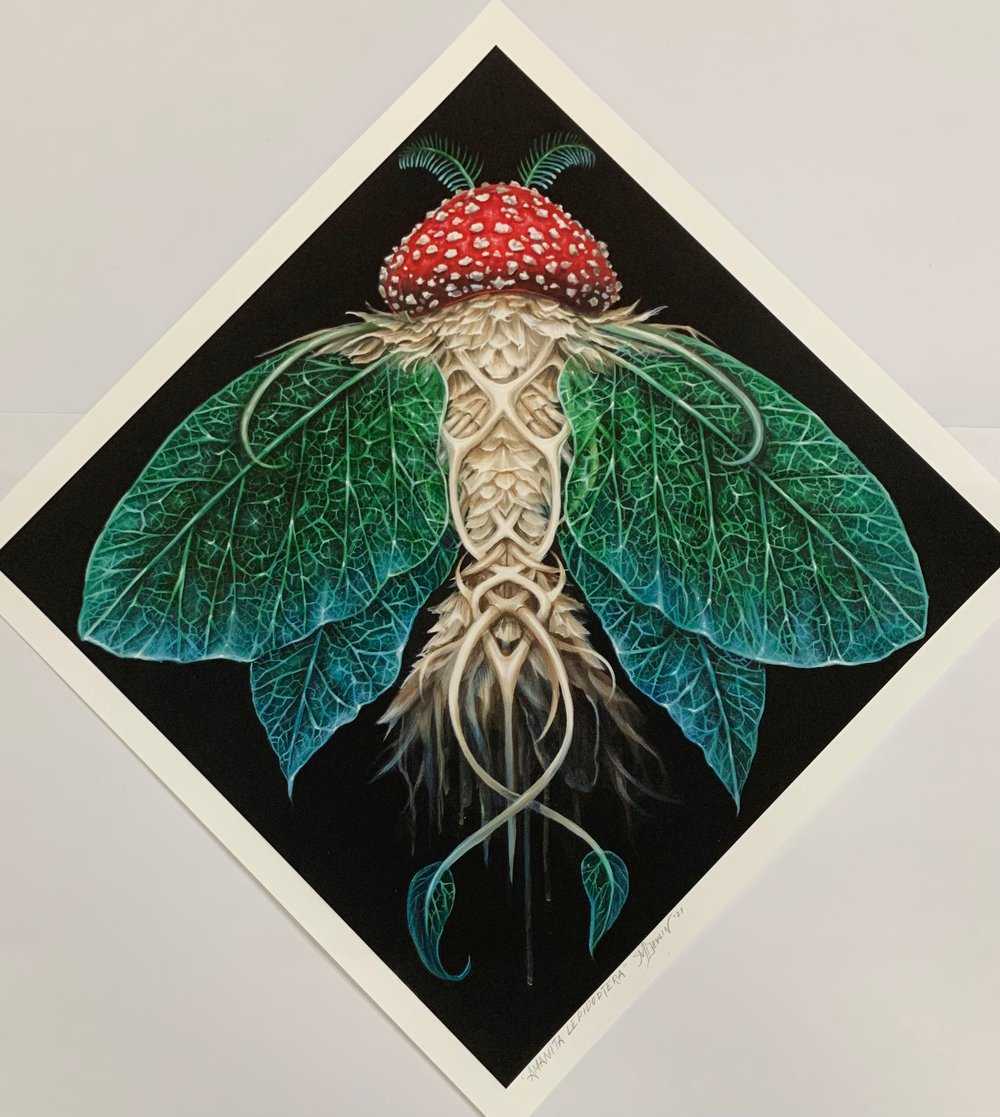 Image of AMANITA LEPIDOPTERA 12x12 print