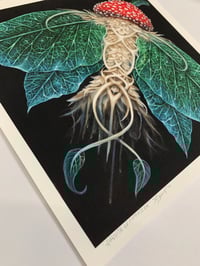 Image 2 of AMANITA LEPIDOPTERA 12x12 print