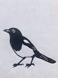 Image 2 of Little Magpie 