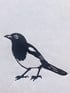 Little Magpie  Image 3
