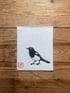 Little Magpie  Image 2