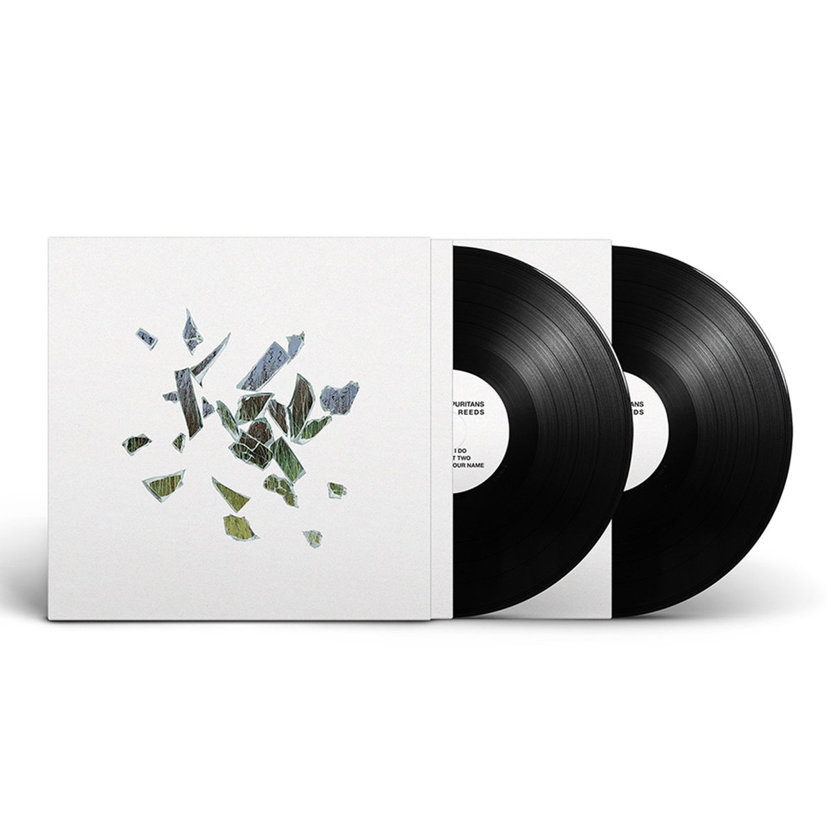 THESE NEW PURITANS