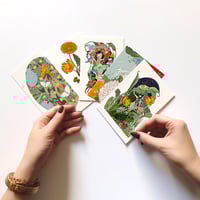 Image 1 of SET 5 POSTALES LA FORET MAGIQUE