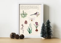 Image 1 of Quatre estacions