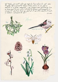 Image 2 of Quatre estacions