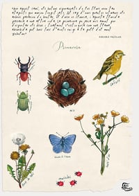 Image 3 of Quatre estacions