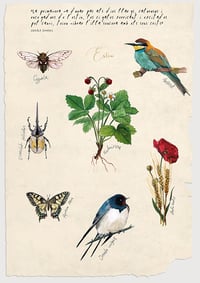 Image 4 of Quatre estacions