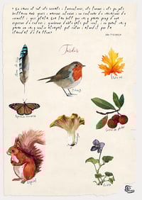 Image 5 of Quatre estacions