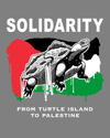 Turtle Island to Palestine Solidarity stickers