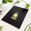 Fairy Lantern, fine art print