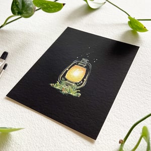 Image of Fairy Lantern, fine art print