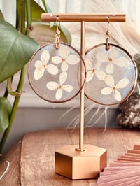 Image 2 of Pressed White Hydrangeas on Capiz Shells
