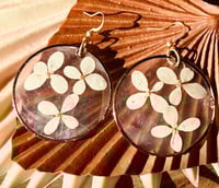 Image 1 of Pressed White Hydrangeas on Capiz Shells