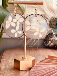 Image 3 of Pressed White Hydrangeas on Capiz Shells