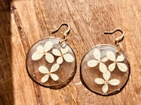 Image 4 of Pressed White Hydrangeas on Capiz Shells