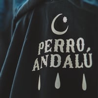 Perro andalú 