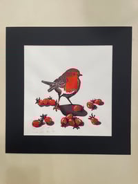 Város és Vadon: Csipke 4/10