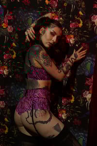 Image 1 of Pink Zebra Lace Panty