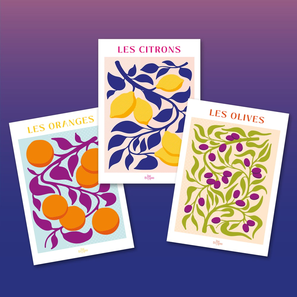 Image of Pack de 3 - Les Oranges - Les Citrons - Les Olives