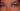 Lux Lashes