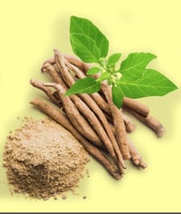 Image 3 of ASHWAGANDHA ROOT