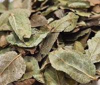 Image 1 of BILBERRY LEAF