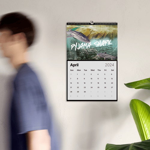 Image of SPHYRNAS 2024 Calendar