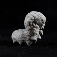 Image 2 of Titanic Larva