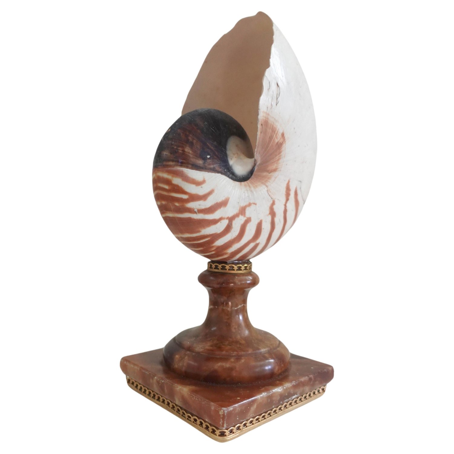 Image of A Fully Chambered Nautilus Shell mounted to a vintage Sicilian Alabaster Base