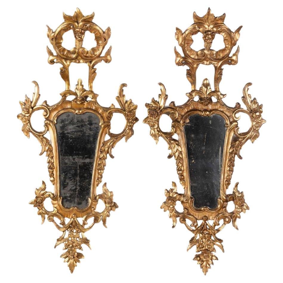 Image of Pair of large and elaborate European Antique 19th century Giltwood Cornucopia Mirrors