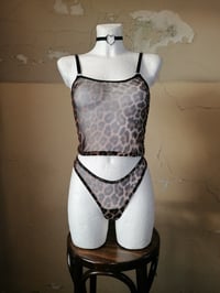 Image 1 of Mesh Brazilian Leo