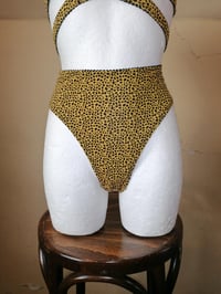 Image 3 of Mustard Leo Pants
