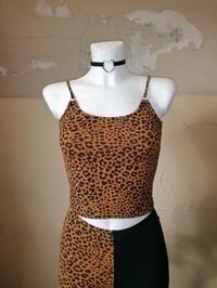 Image 4 of Cotton Tops Leo