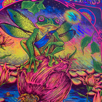 Image 4 of Les Claypool's Fearless Flying Frog Brigade 10/17/23