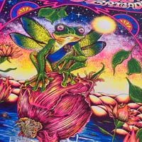Image 5 of Les Claypool's Fearless Flying Frog Brigade 10/17/23