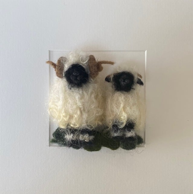 Image of 'Cream Puff & 'Cottonball' the Valais Black Nose Sheep