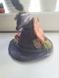Image 3 of Witches Hat