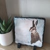 Hare in Snow Square Slate