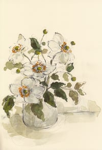 Vase of Japanese anemones 